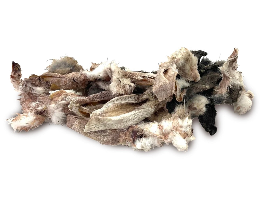 Rabbit Ears